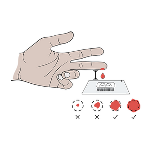 Test step 6